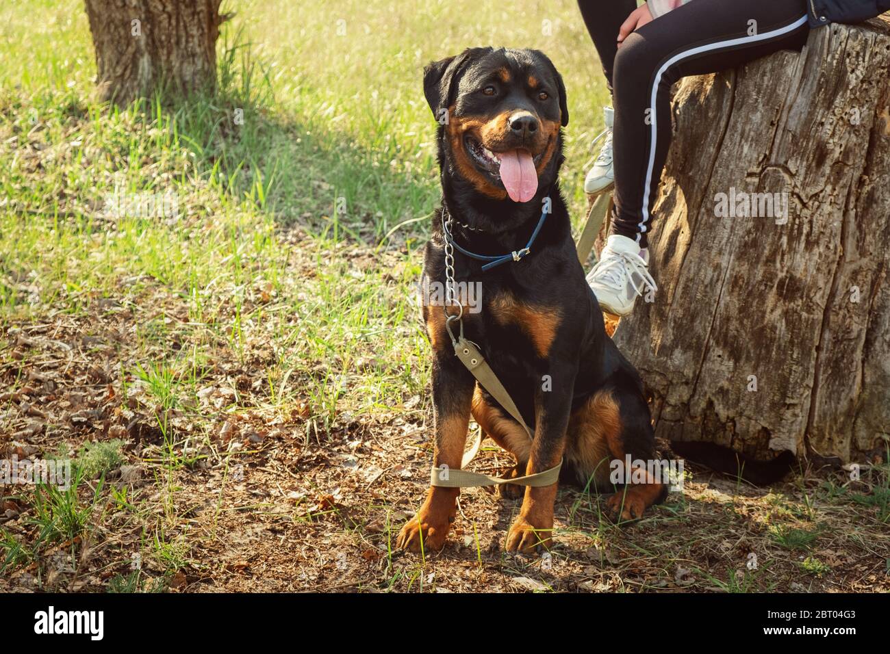 Female bodyguard hi-res stock photography and images - Page 7 - Alamy