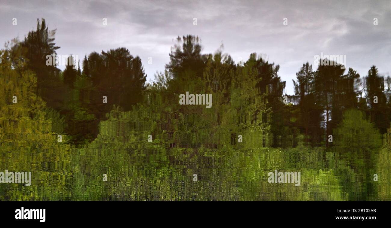 blurred abstract natural background - evening spring forest reflected in river water Stock Photo