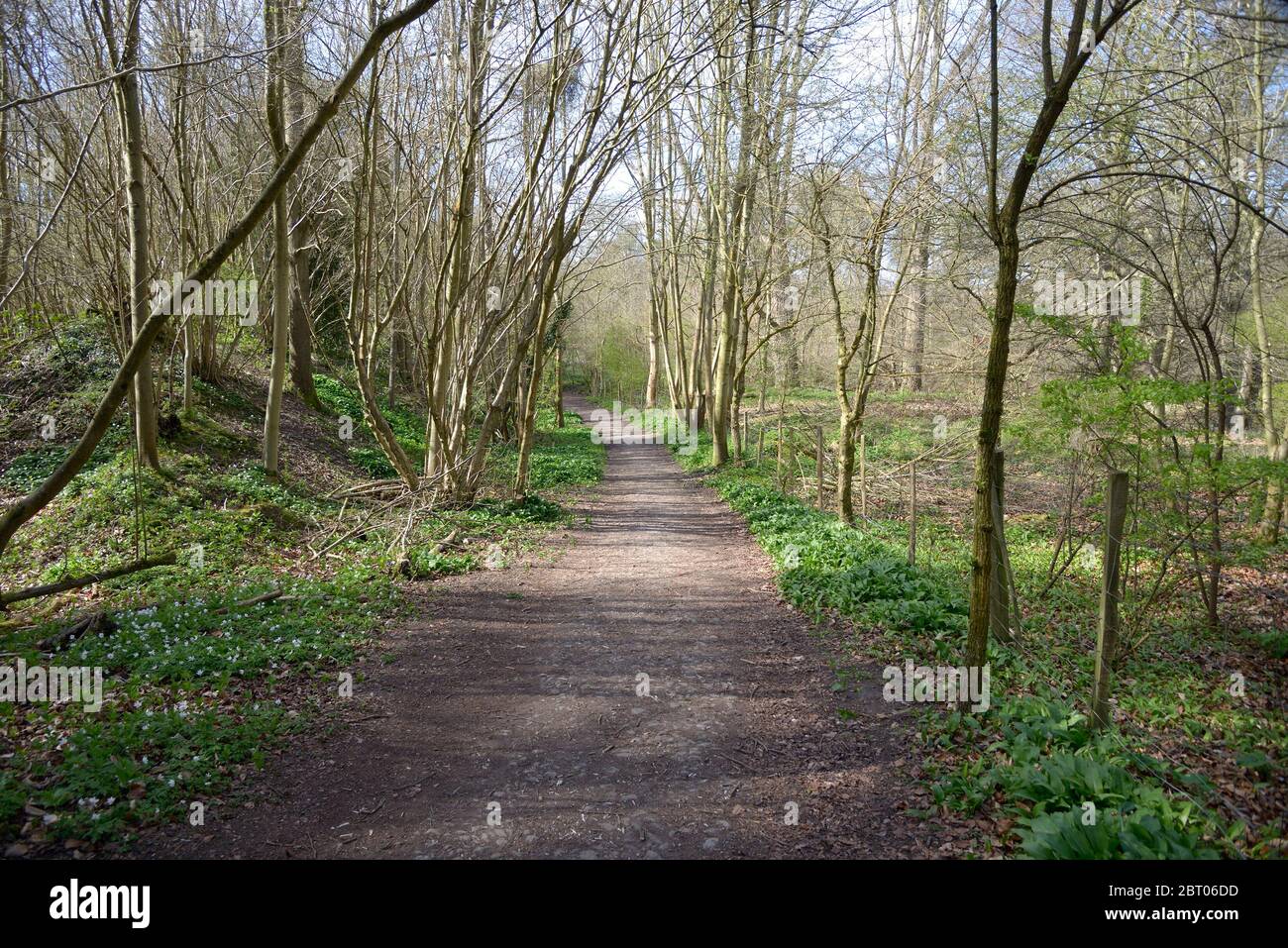 Boughton Monchelsea village, Kent, UK. Footpath through the woods Stock