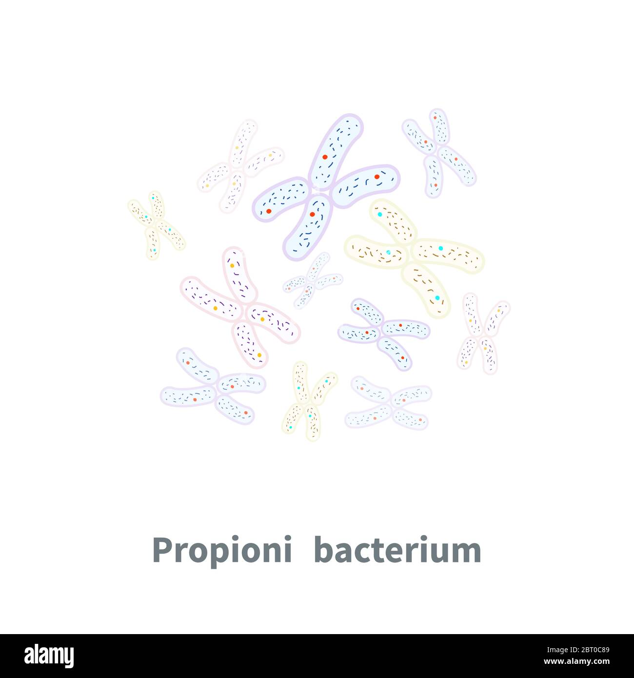 Propionibacterium probiotics on white Stock Vector