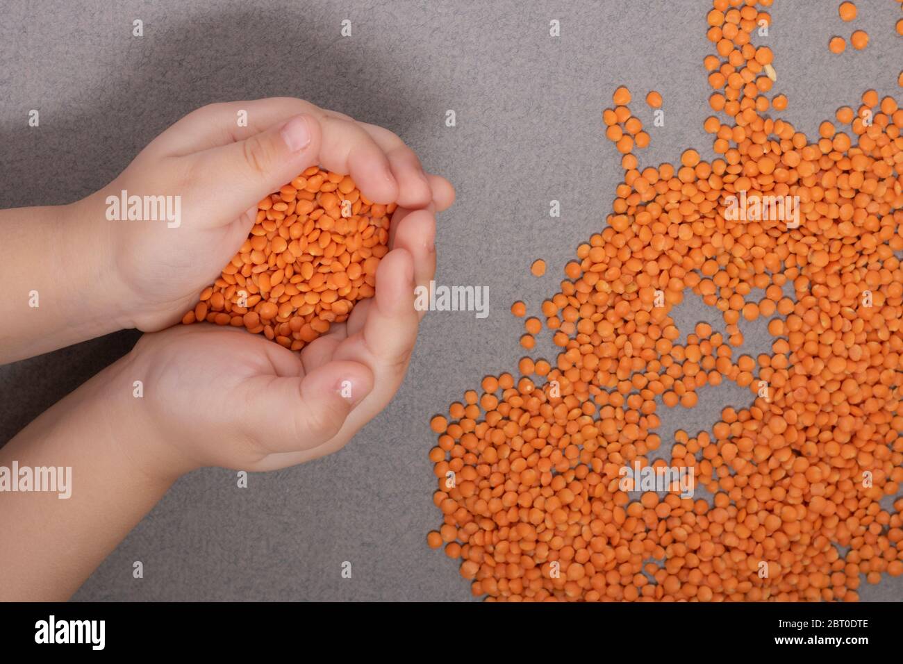 Kid holding red lentils, flat lay. View above Stock Photo - Alamy