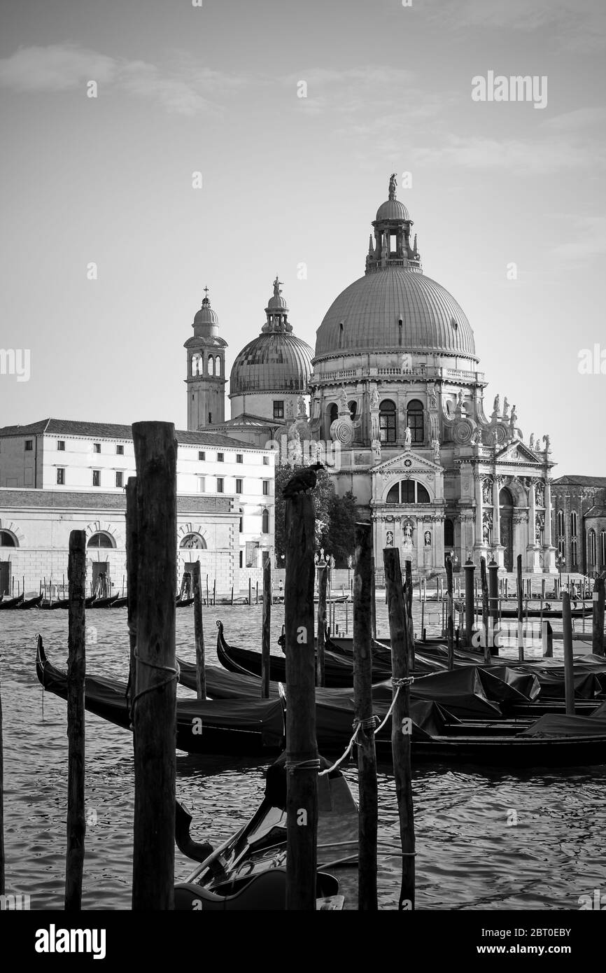 View of The Grand Canal and Santa Maria della Salute church in Venice,  Italy. Black and white photography Stock Photo