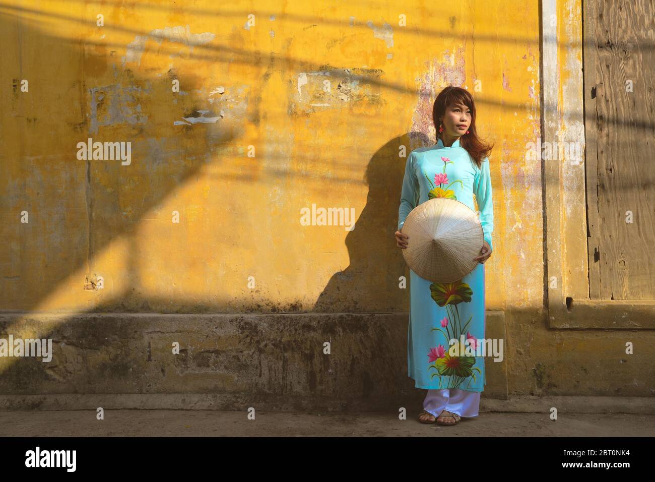 Beautiful vietnamese girl in traditional dress (ao dai). Ao dai is famous traditional costume for woman in Vietnam. Stock Photo
