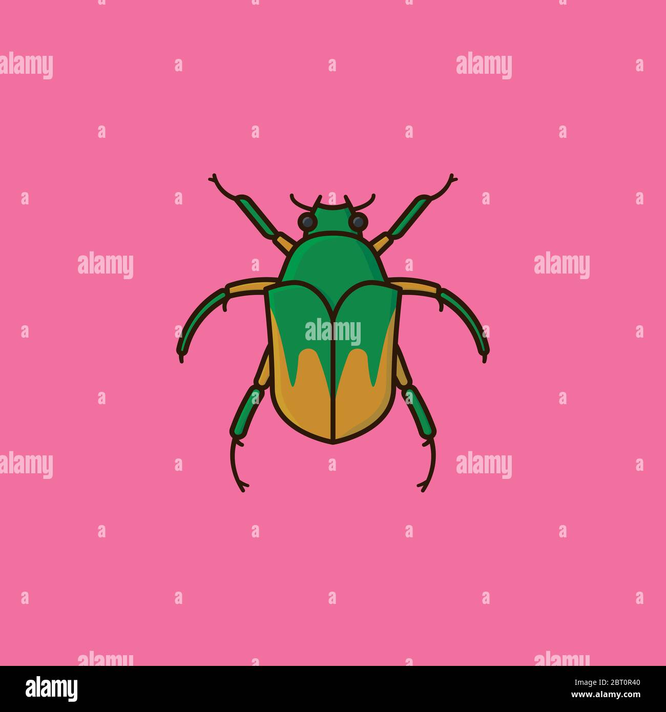 June bug Stock Vector Images - Alamy