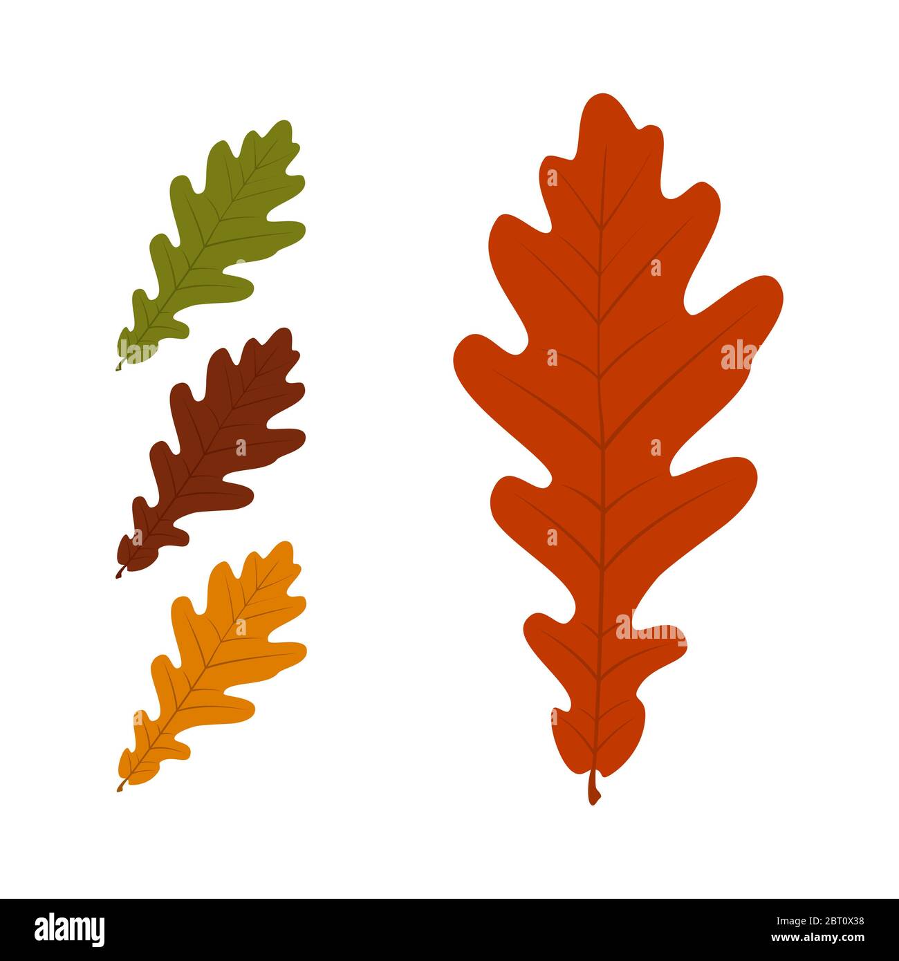 Leaves. Set of autumn leaves on white background. Vector illustration ...