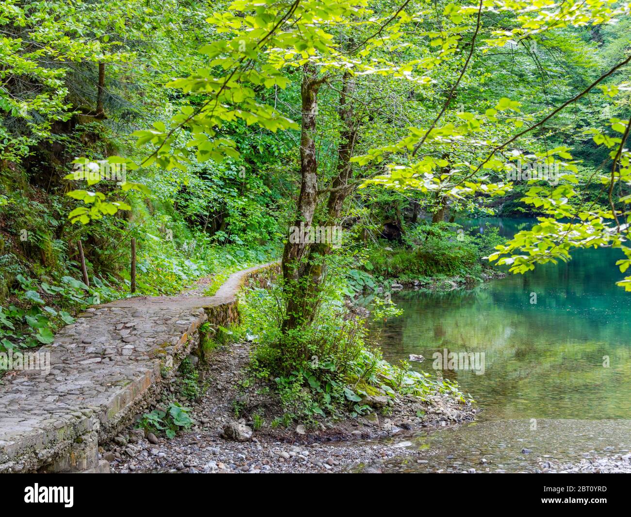 Stunning Spring Green nature color in forest near source of river Kupa in Croatia Europe foottrail trail along coast Stock Photo