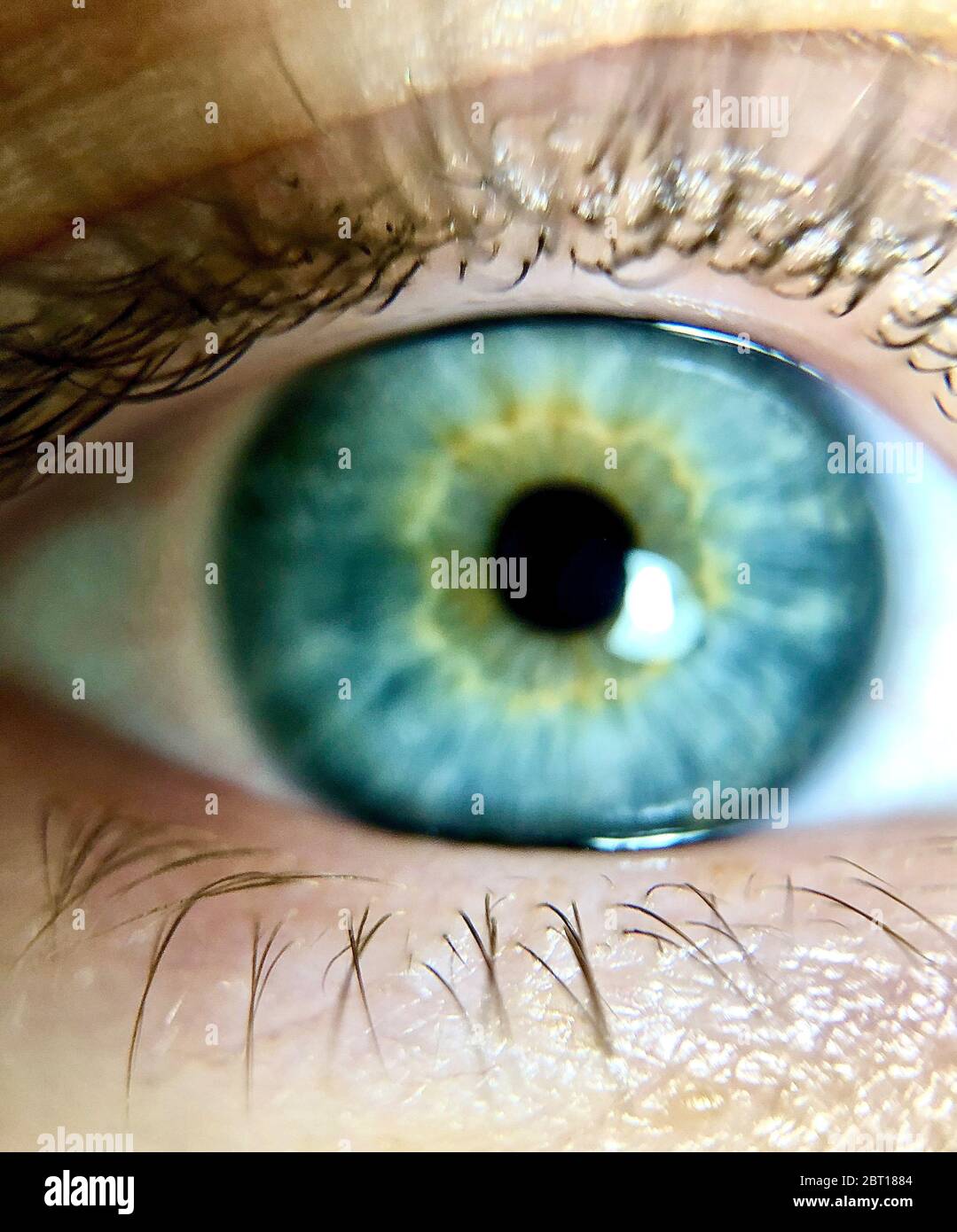 Close-up of a blue eye Stock Photo