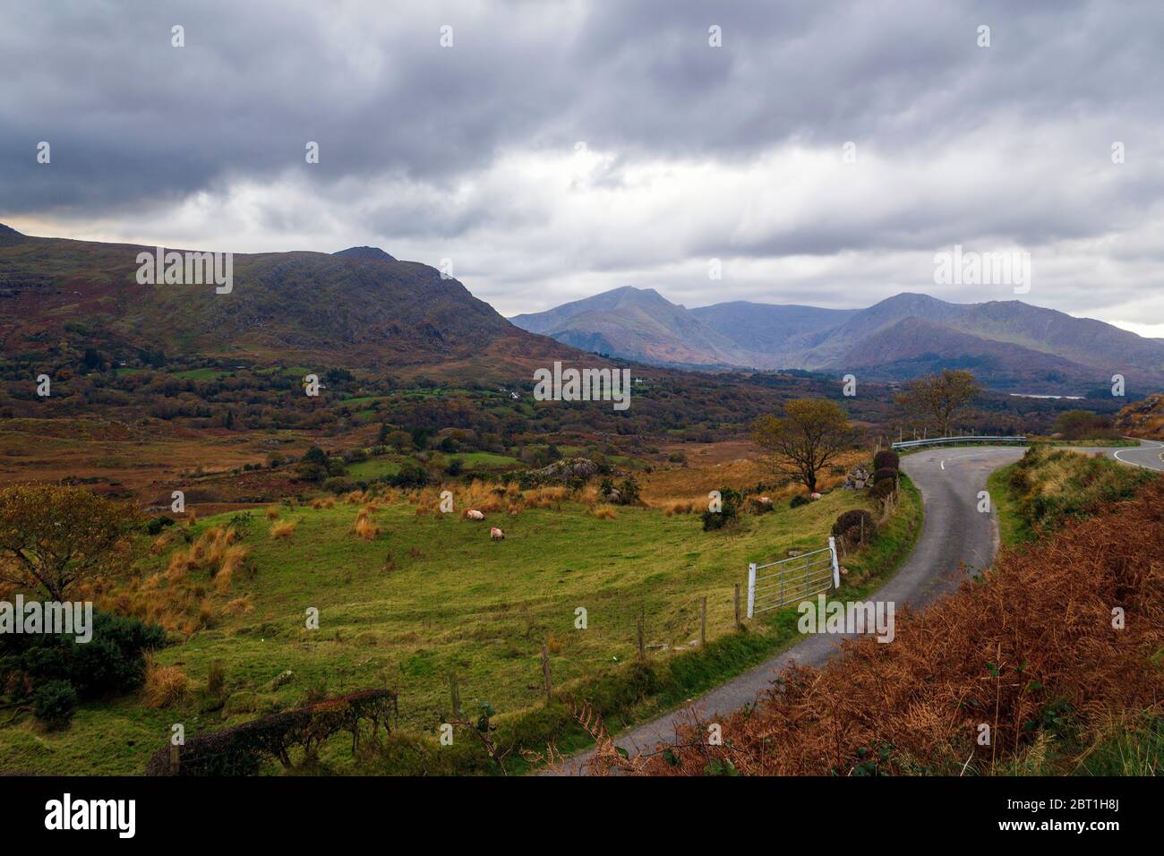 Winding road through a glen towards the highest mountains in Ireland