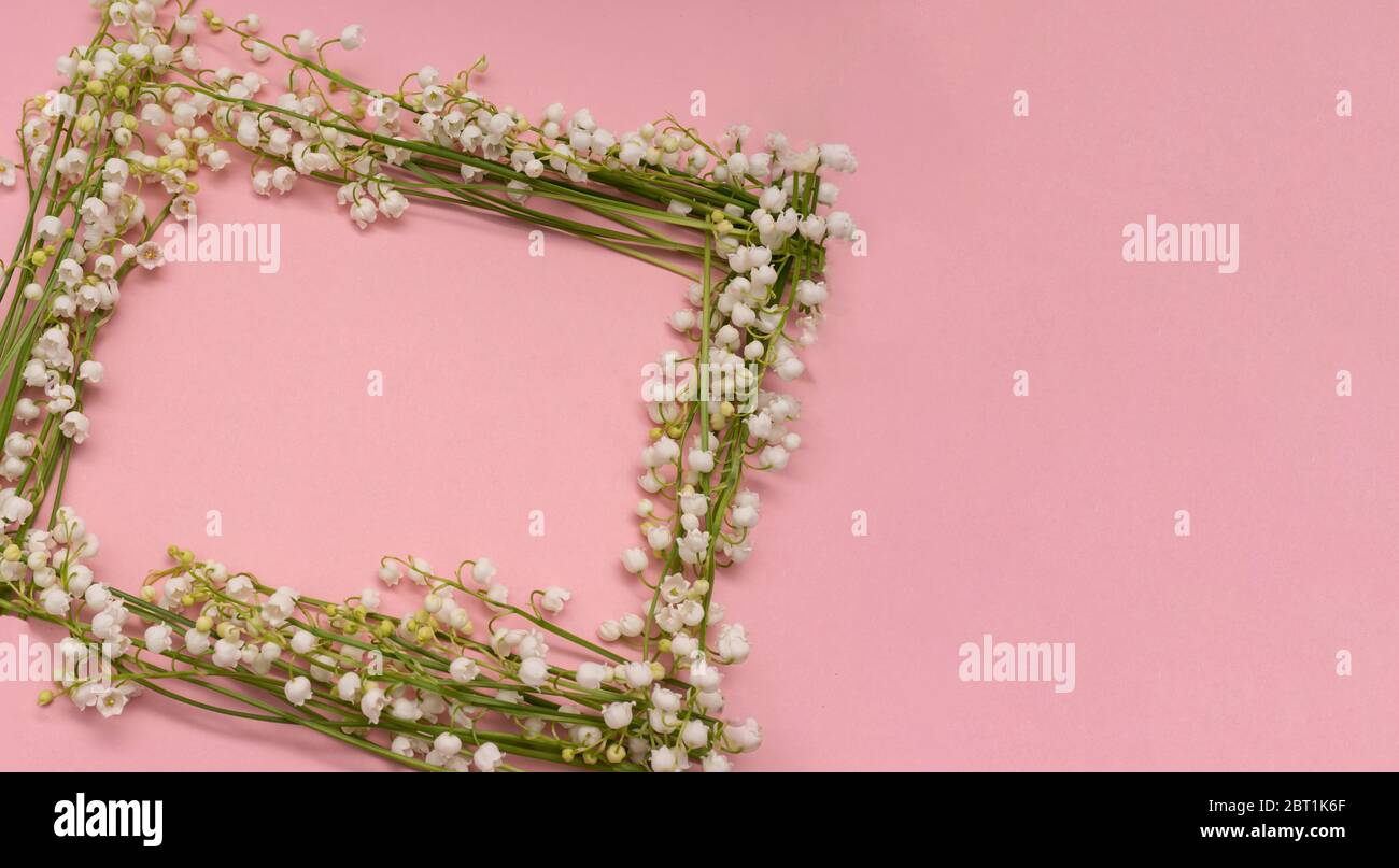 Frame from lily of the valley flowers on pink background Stock Photo ...