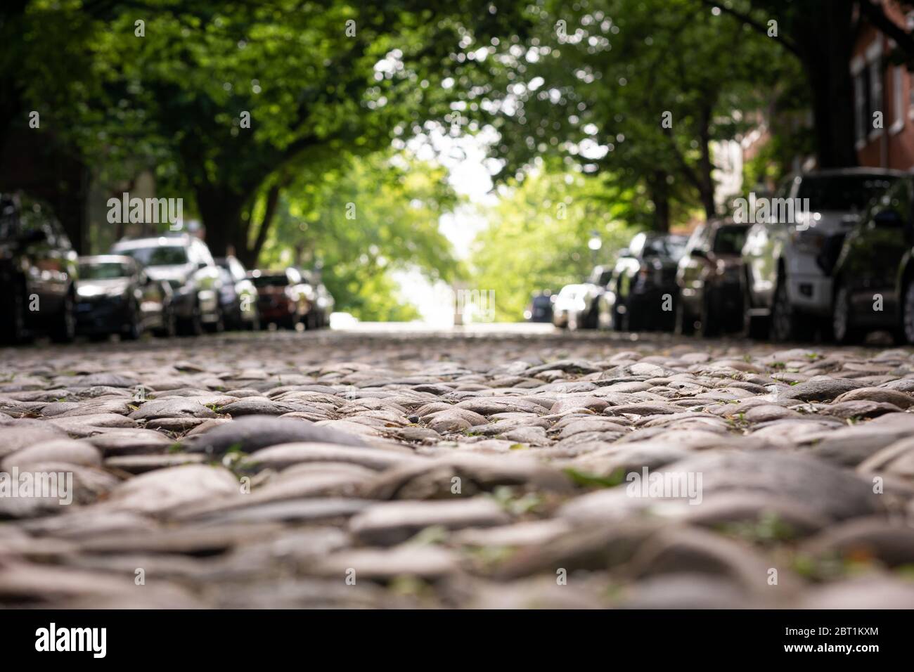 Alexandria va architecture hires stock photography and images Alamy