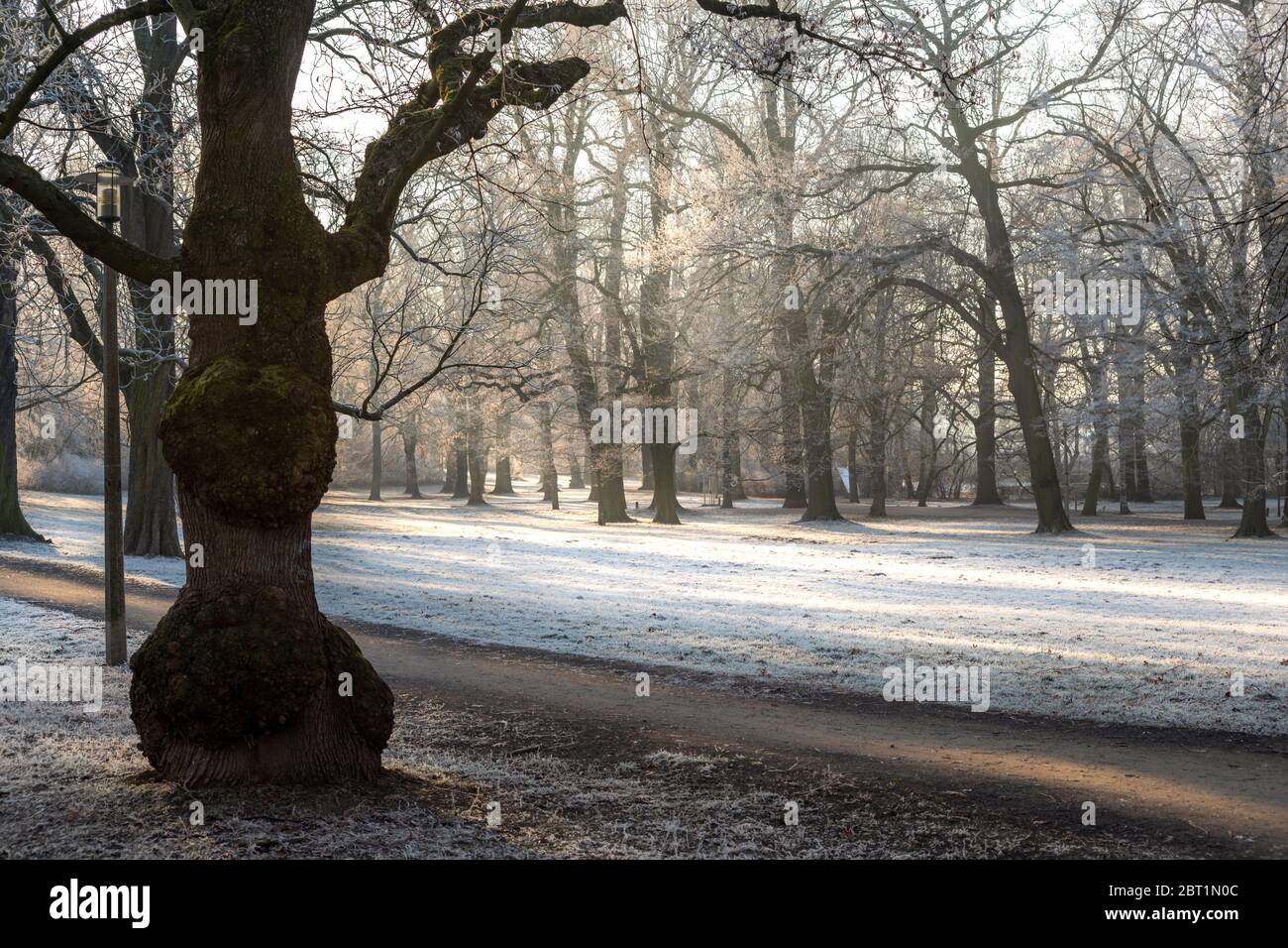 Johannapark Leipzig im Winter bei Frost Stock Photo