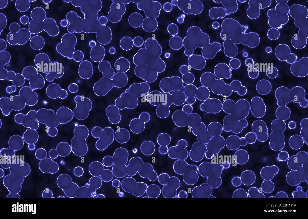 Set bacteria cell microorganism hi-res stock photography and images - Alamy