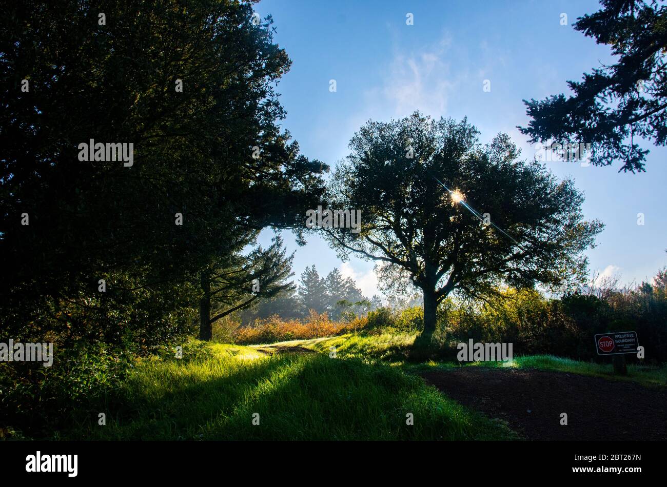 Morning landscape, Northern California Stock Photo