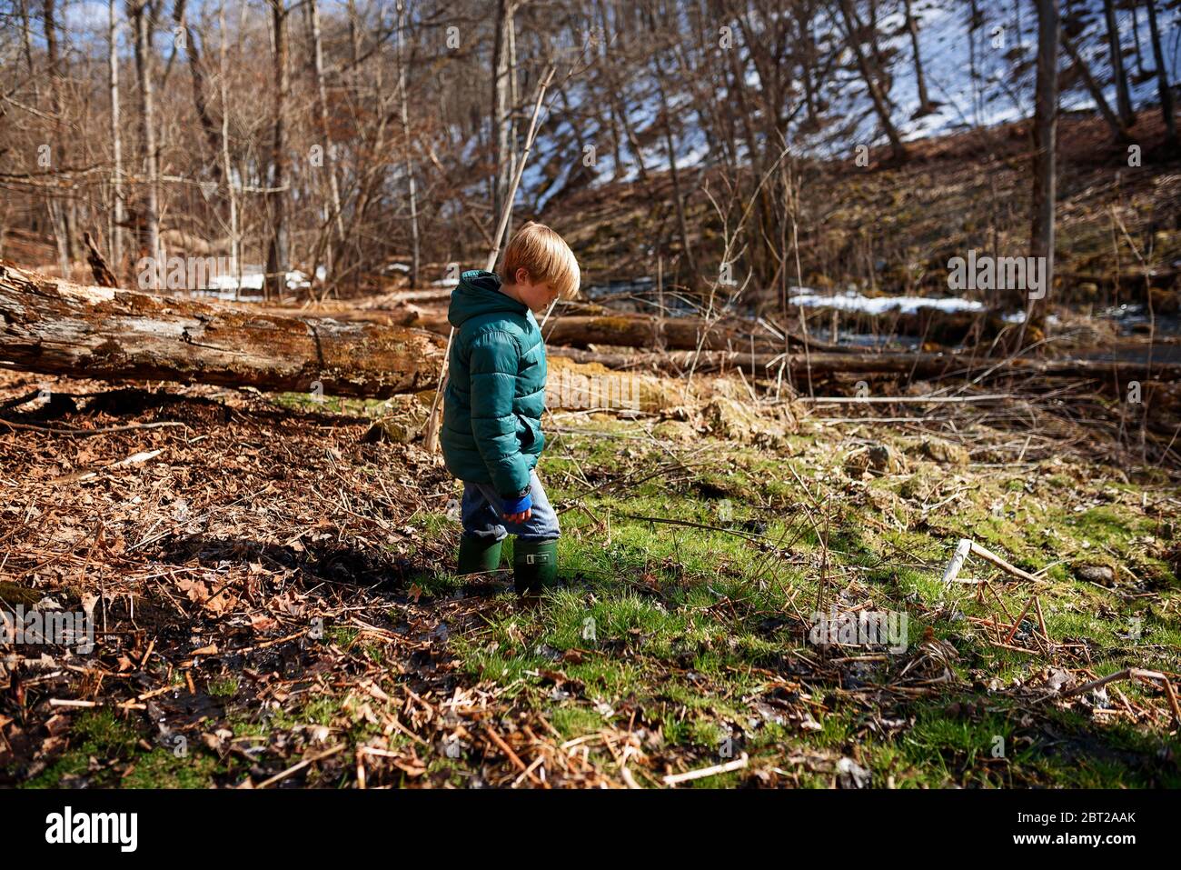 Boy walking through waterlogged forest in early spring, USA Stock Photo