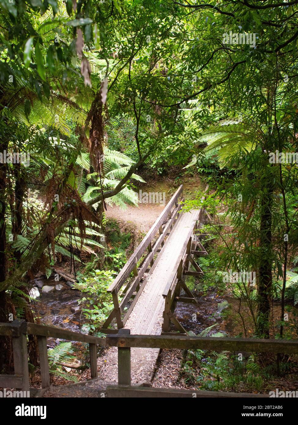Footbridge On A Bush Walk Trail Stock Photo