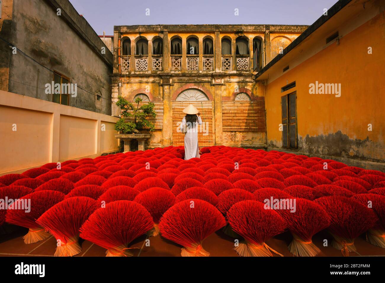 Woman standing amongst dried incense sticks, Hanoi, Vietnam Stock Photo
