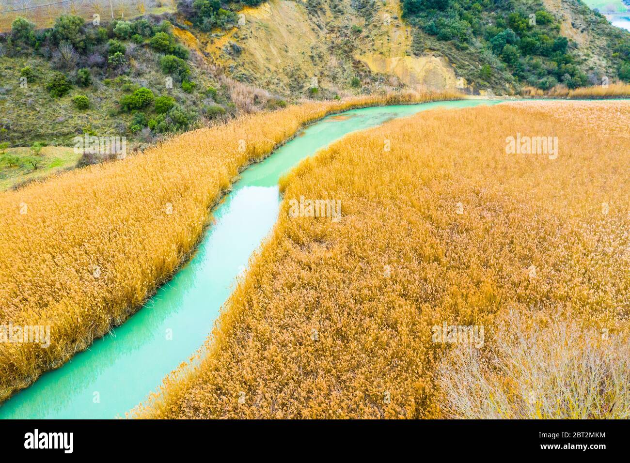 Reedbed and river aerial view. Stock Photo