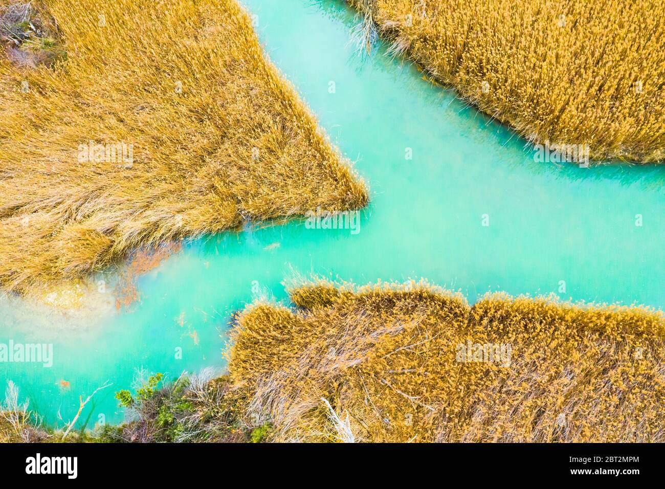 Reedbed and river aerial view. Stock Photo