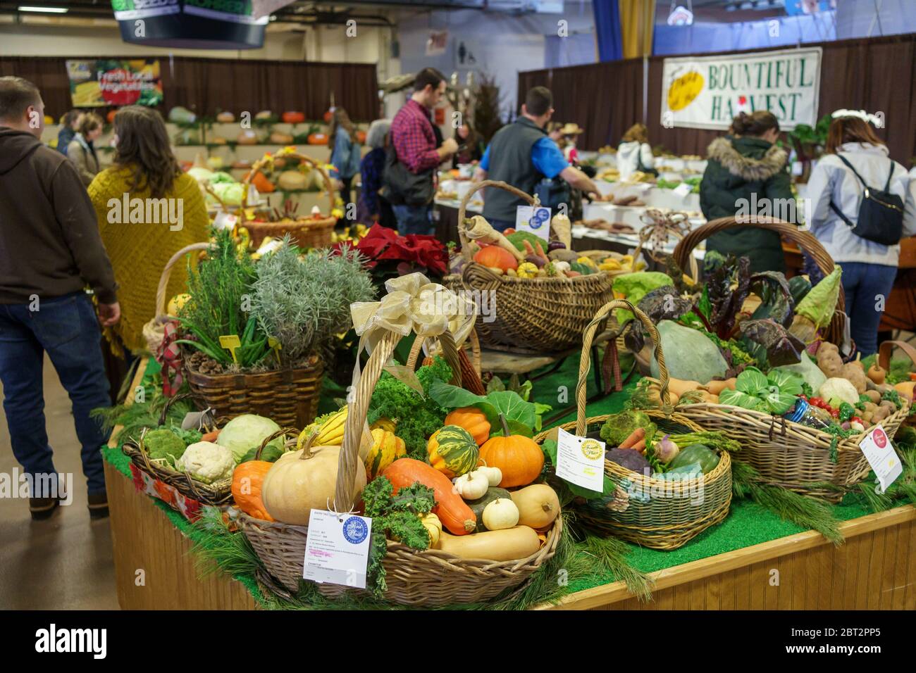 Harrisburg, PA / USA January 6, 2020 Baskets and trays of fruits and