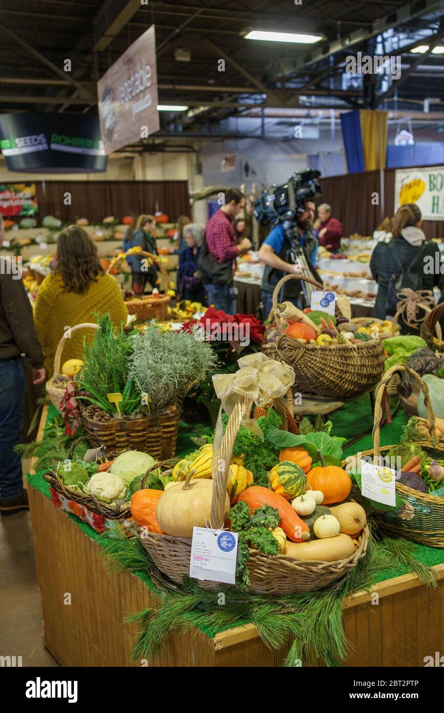 Harrisburg, PA / USA January 6, 2020 Baskets and trays of fruits and