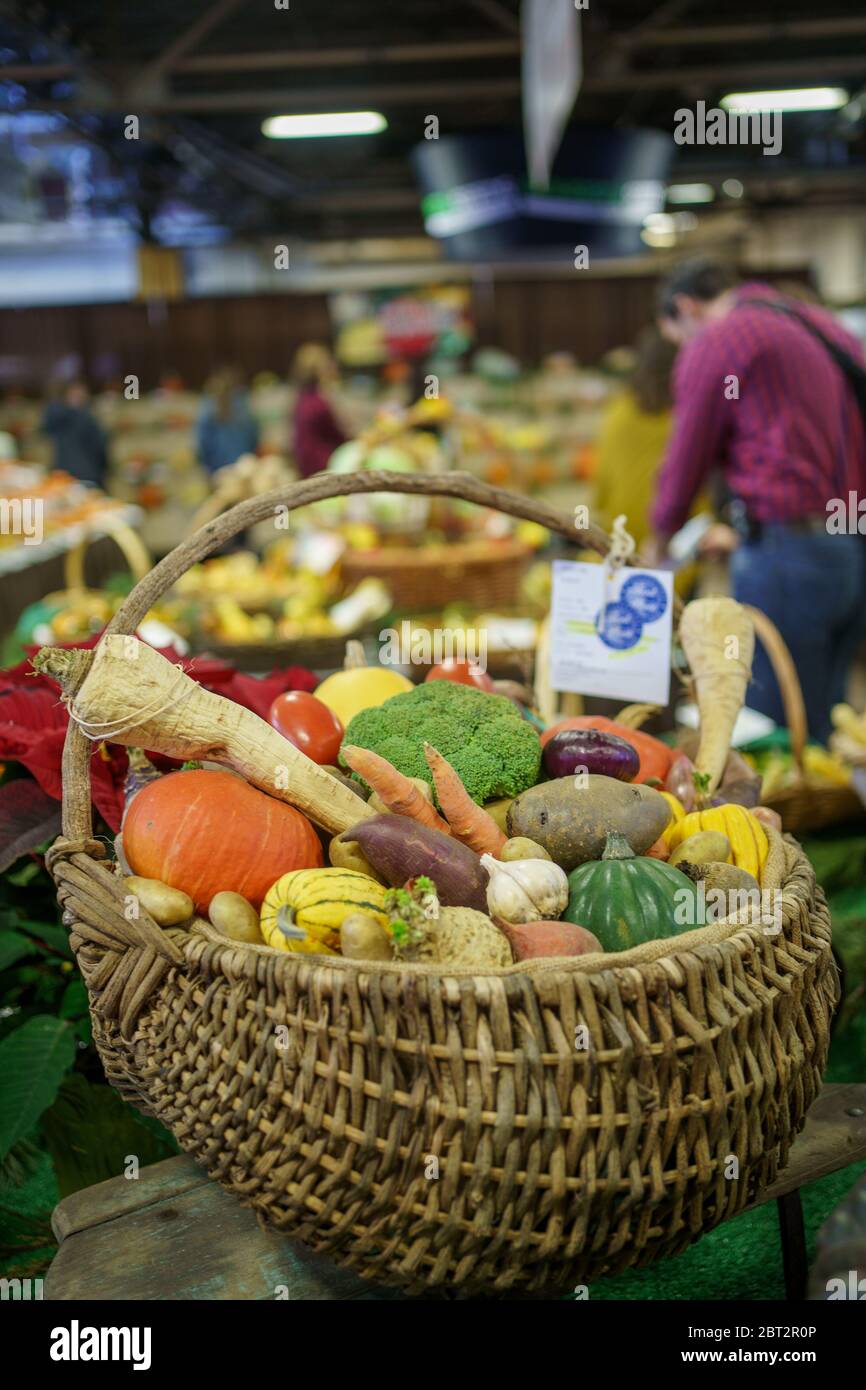 Harrisburg, PA / USA January 6, 2020 Baskets and trays of fruits and