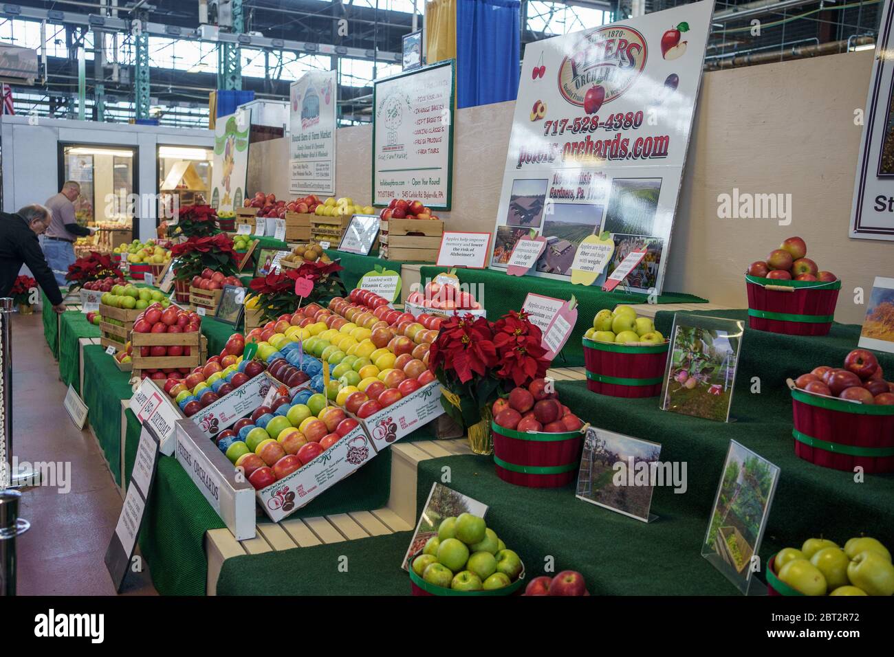 Harrisburg, PA / USA - January 6, 2020: Fresh apples, one of Pernnsylvania’s large agricultural crops, are on display at the annual PA Farm Show. Stock Photo