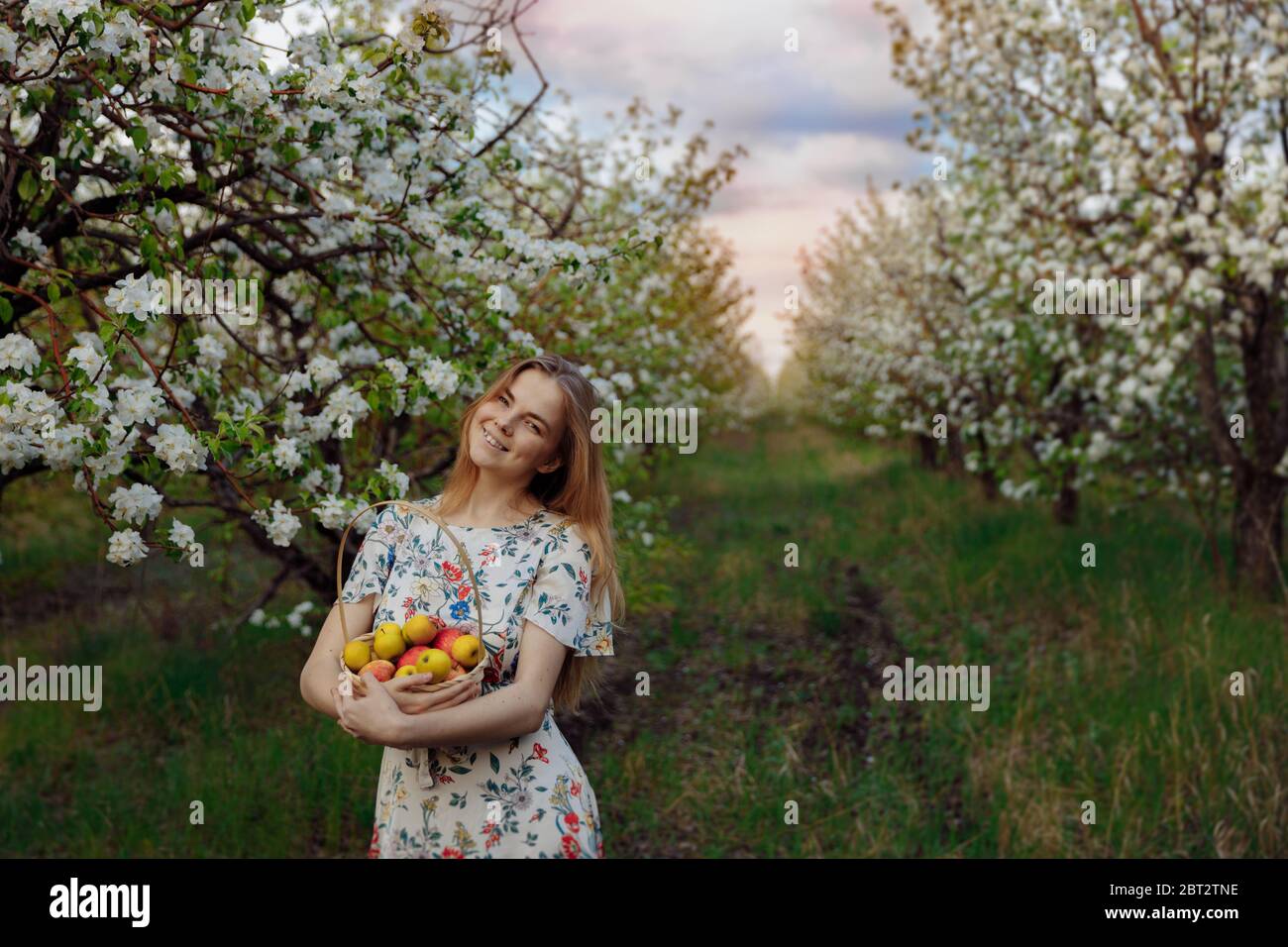 A smiling girl in a white dress stands in a beautiful Apple orchard Stock Photo