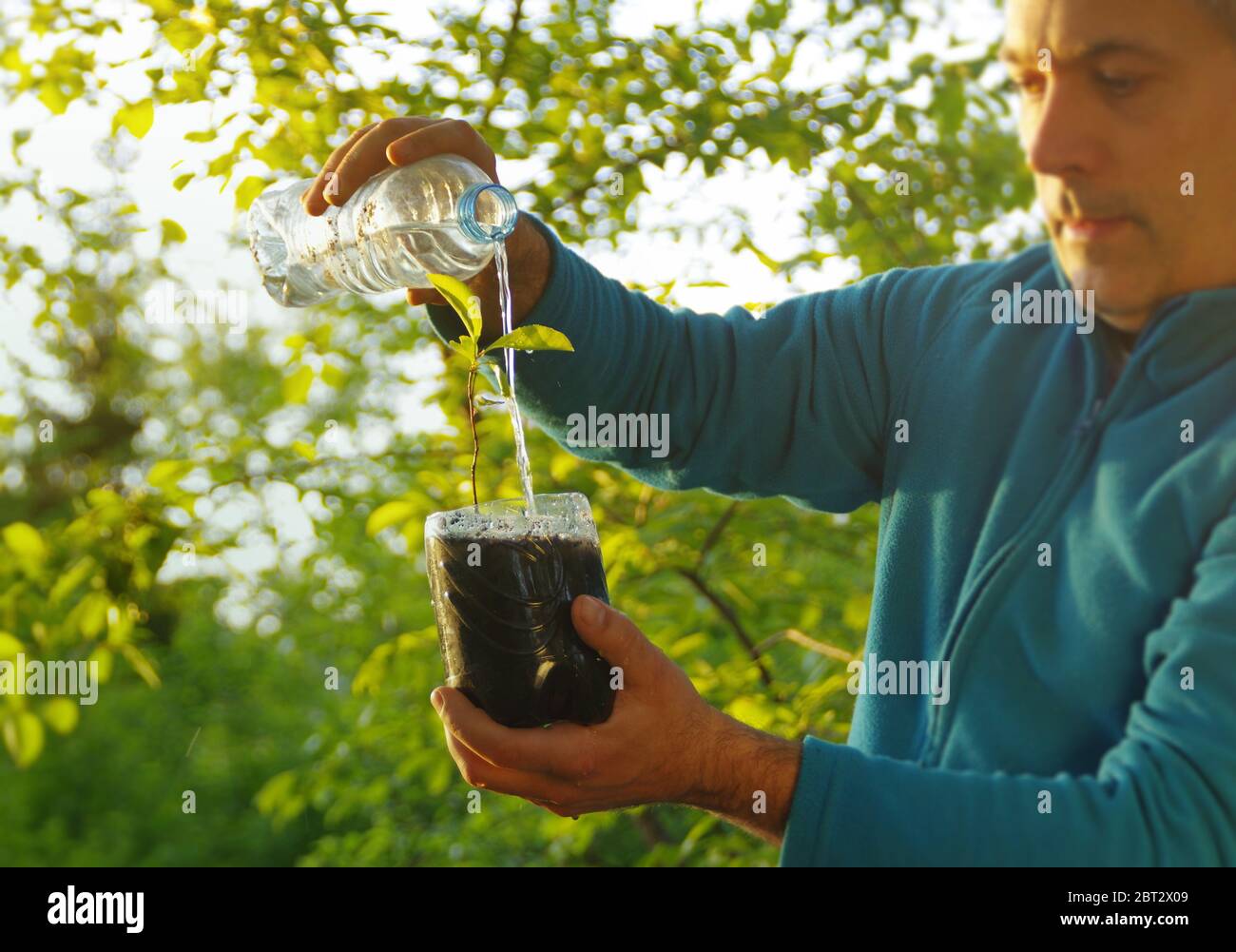 Ecology and water concept. Organic plant cultivation and watering from plastic bottle. Planting a young plant in a recycled container. Care for the na Stock Photo