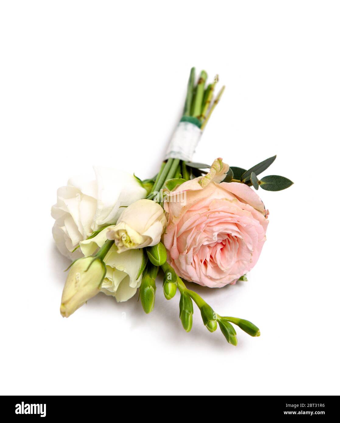 cute boutonniere of live roses Stock Photo