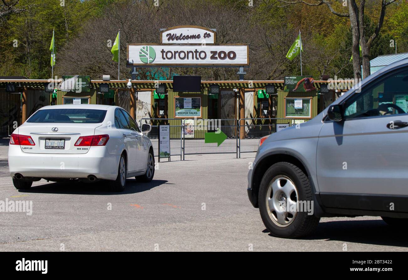 Toronto Canada 22nd May 2020 Vehicles Line Up To Enter The Toronto Zoo During A Media