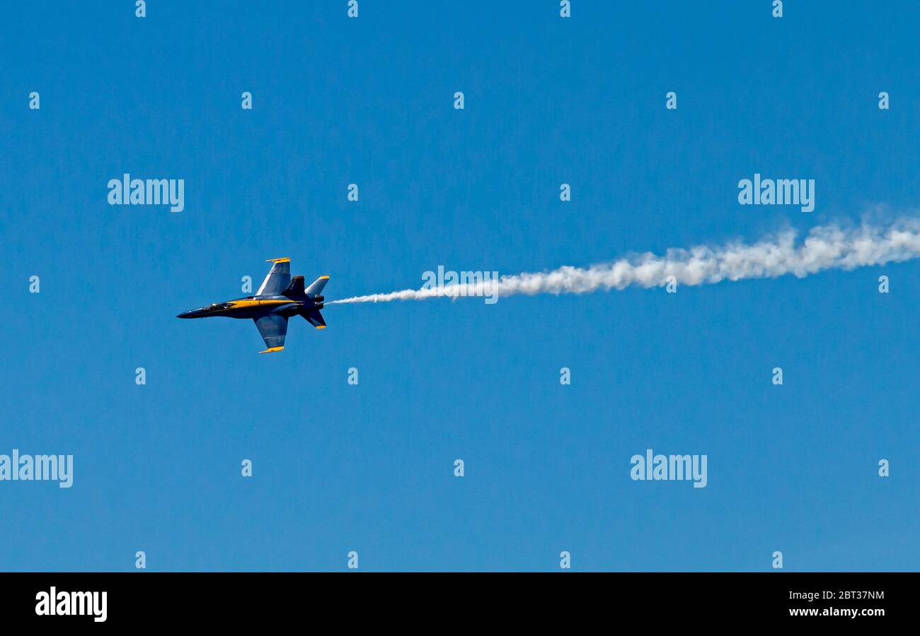 The Blue Angels performing over Seattle during the 2015 Seafair Air Show. The Blue Angels team is the United States Navy's flight demonstration squadron, with aviators from the Navy and Marines. It was formed in 1946, making it the second oldest formal flying aerobatic team in the world. The Blue Angels' six demonstration pilots fly the F/A-18 Hornet, typically in more than 70 shows at 34 locations throughout the United States each year, where they still employ many of the same practices and techniques used in their aerial displays in 1946. Stock Photo