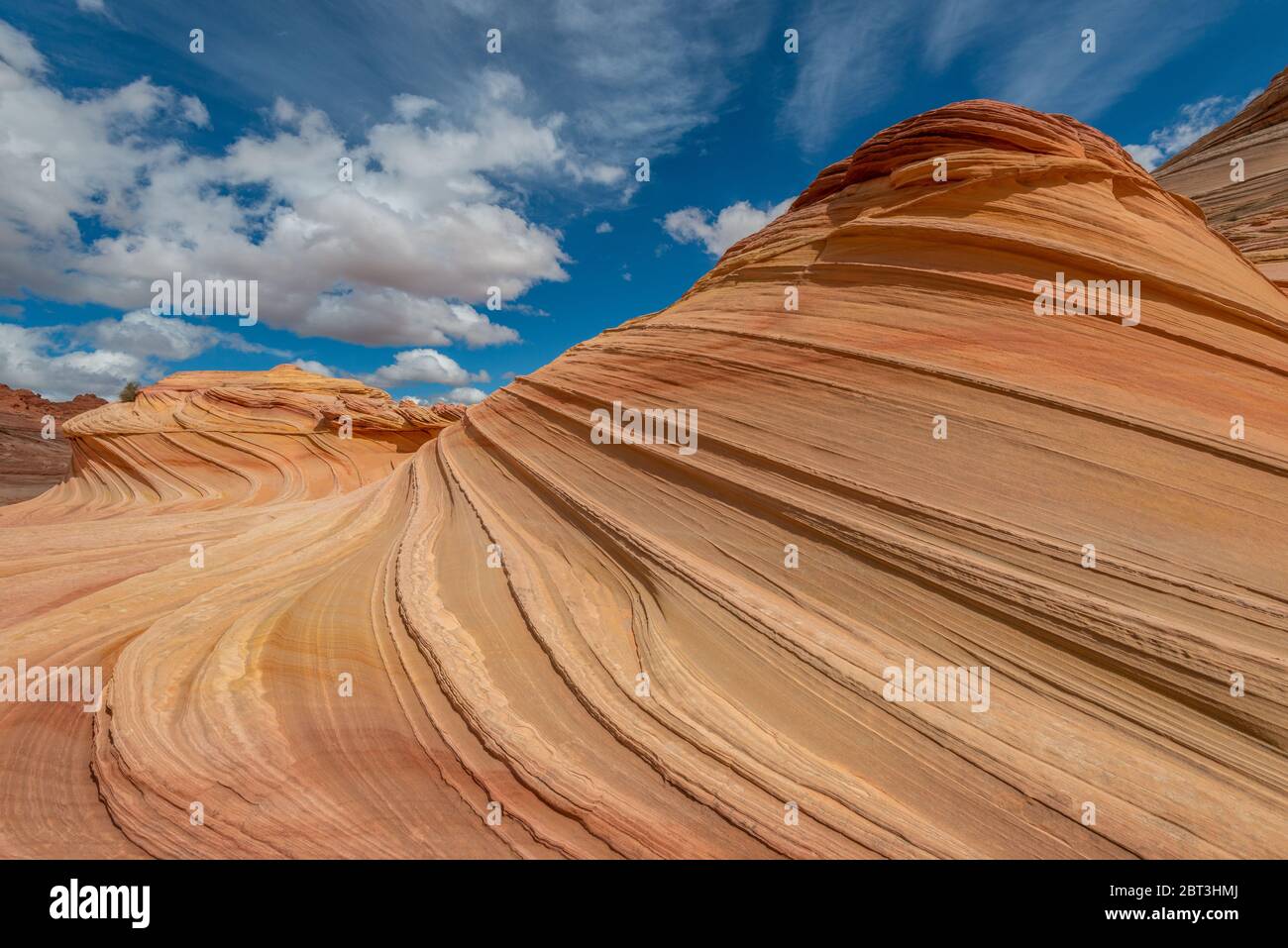 The Wave, Paria Canyon-Vermilion Cliffs Wilderness, Arizona, USA Stock Photo