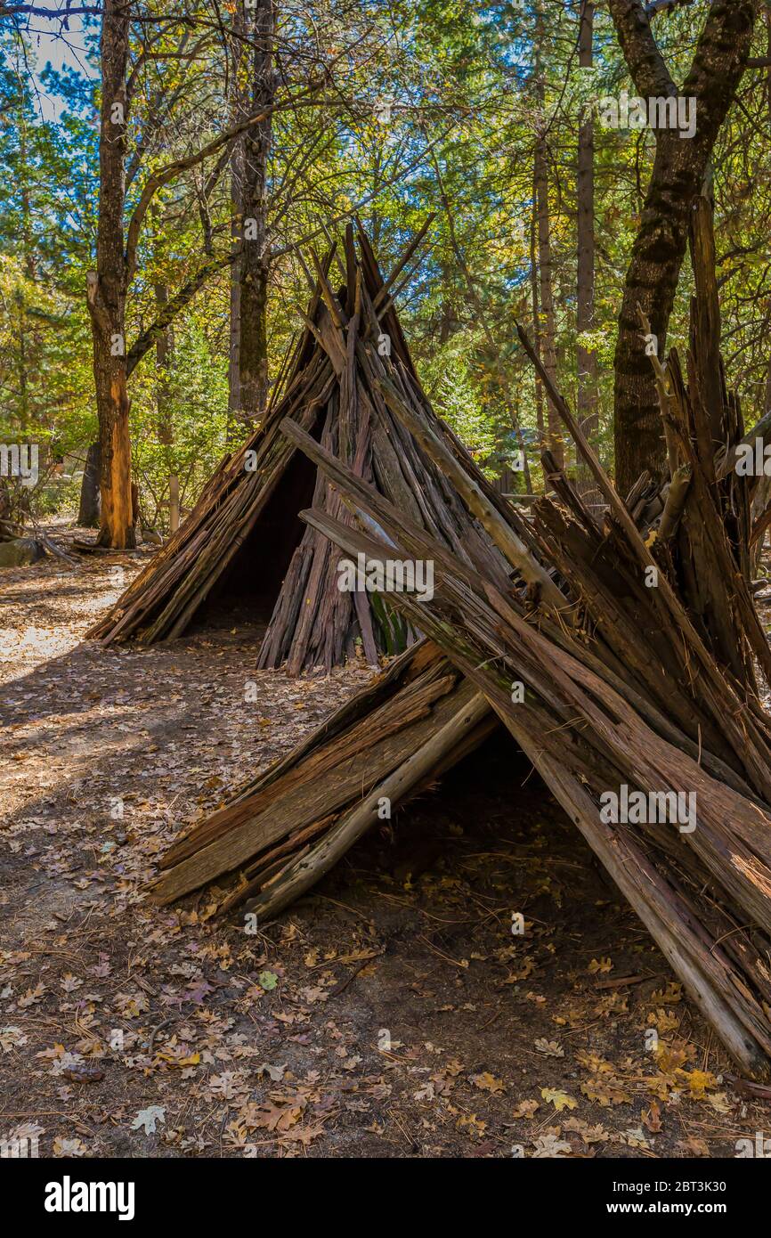 House made of Incense Cedar, Calocedrus decurrens, bark lashed with grapevines by the Miwok People in  Yosemite Valley, Yosemite National Park, Califo Stock Photo