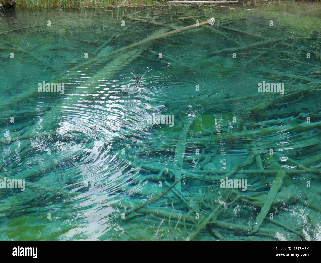 Crystal lake sierra hi-res stock photography and images - Alamy