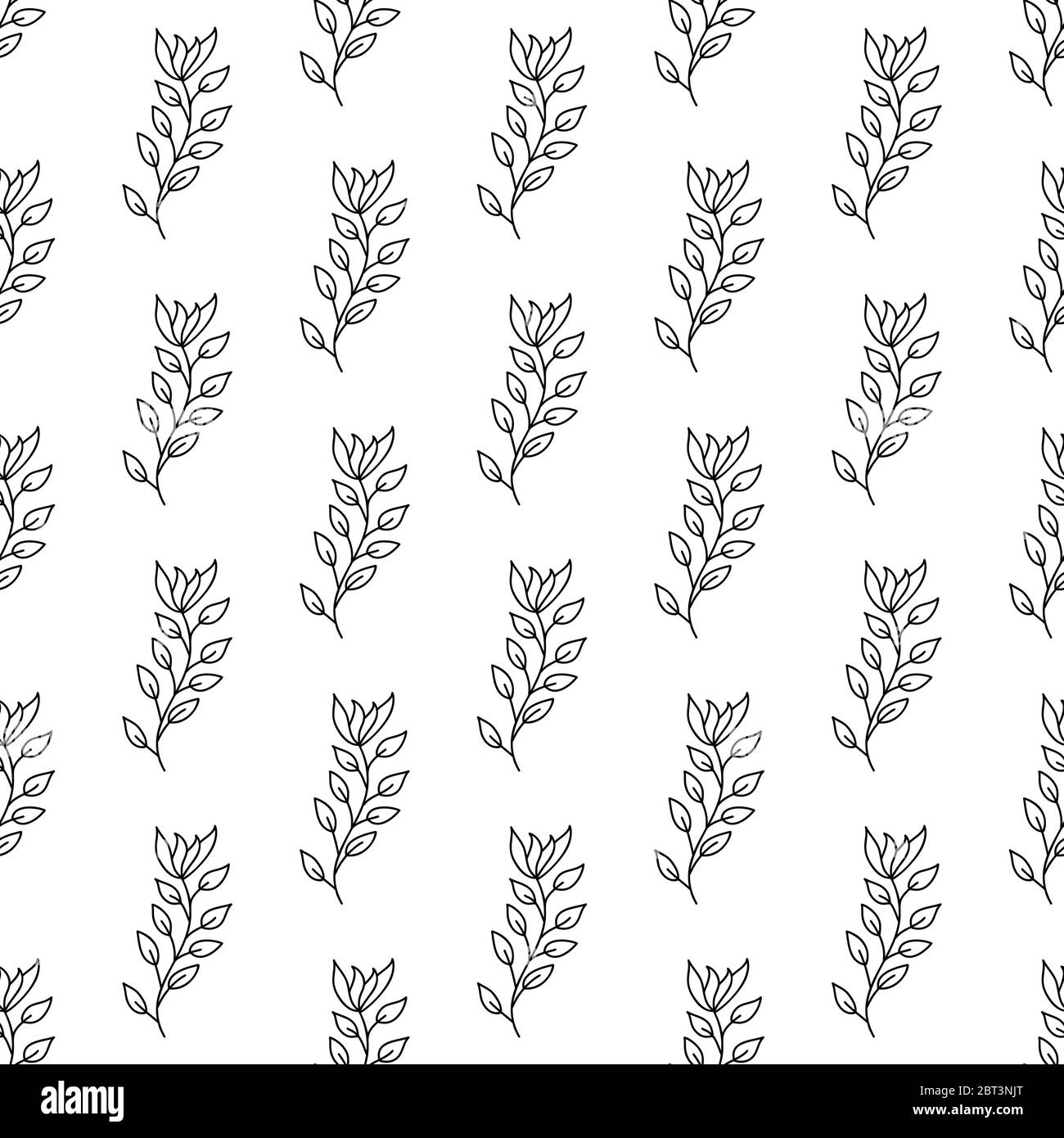 Floral seamless pattern. Isolated on white background. Vector stock ...