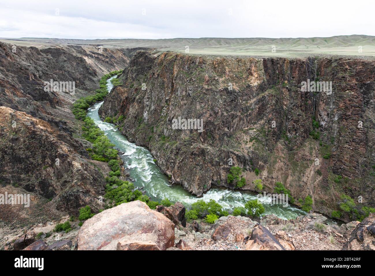 Charyn river canyon in spring Stock Photo