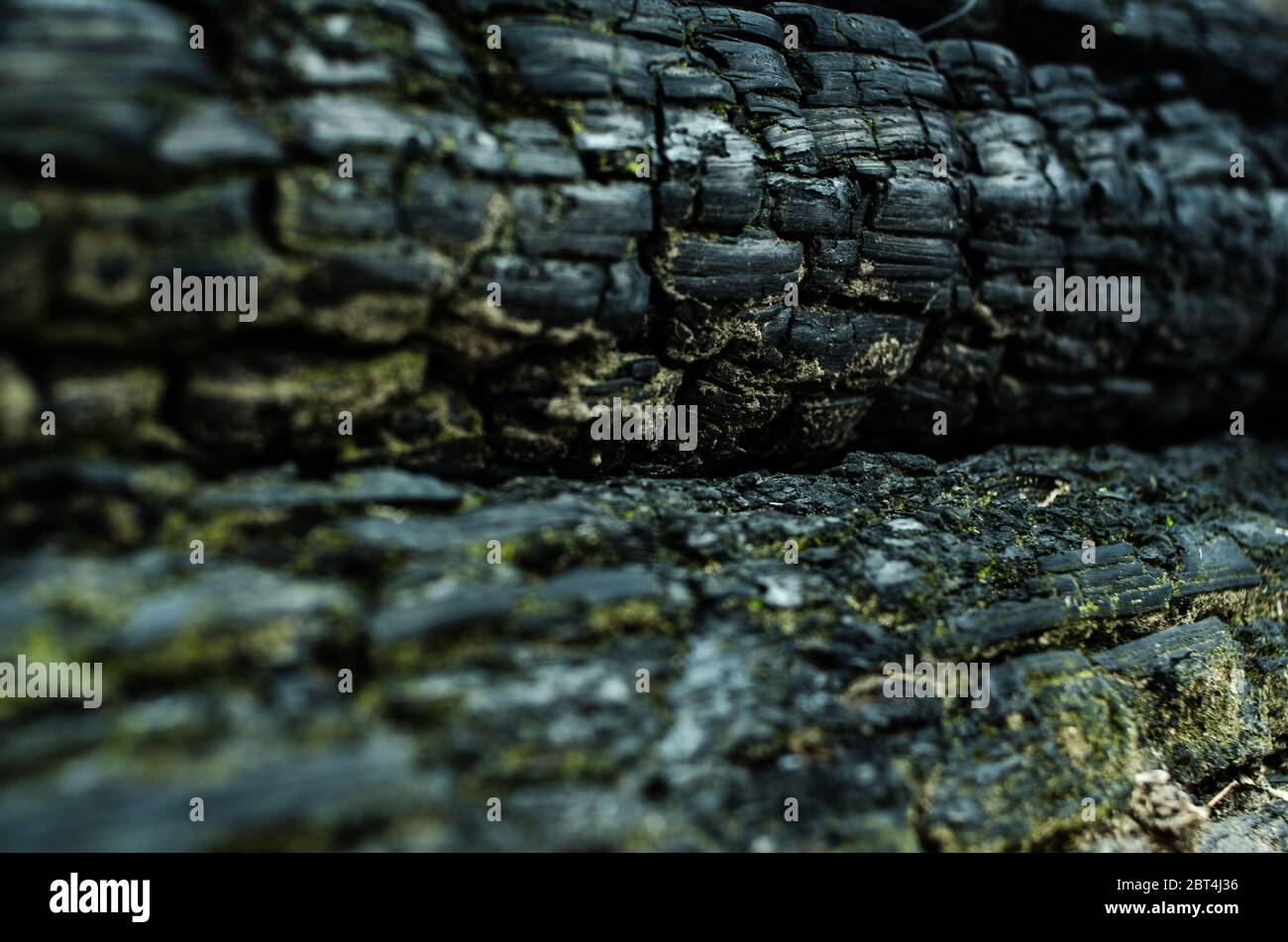 Grunge. Burned wood texture. Black background Stock Photo Alamy