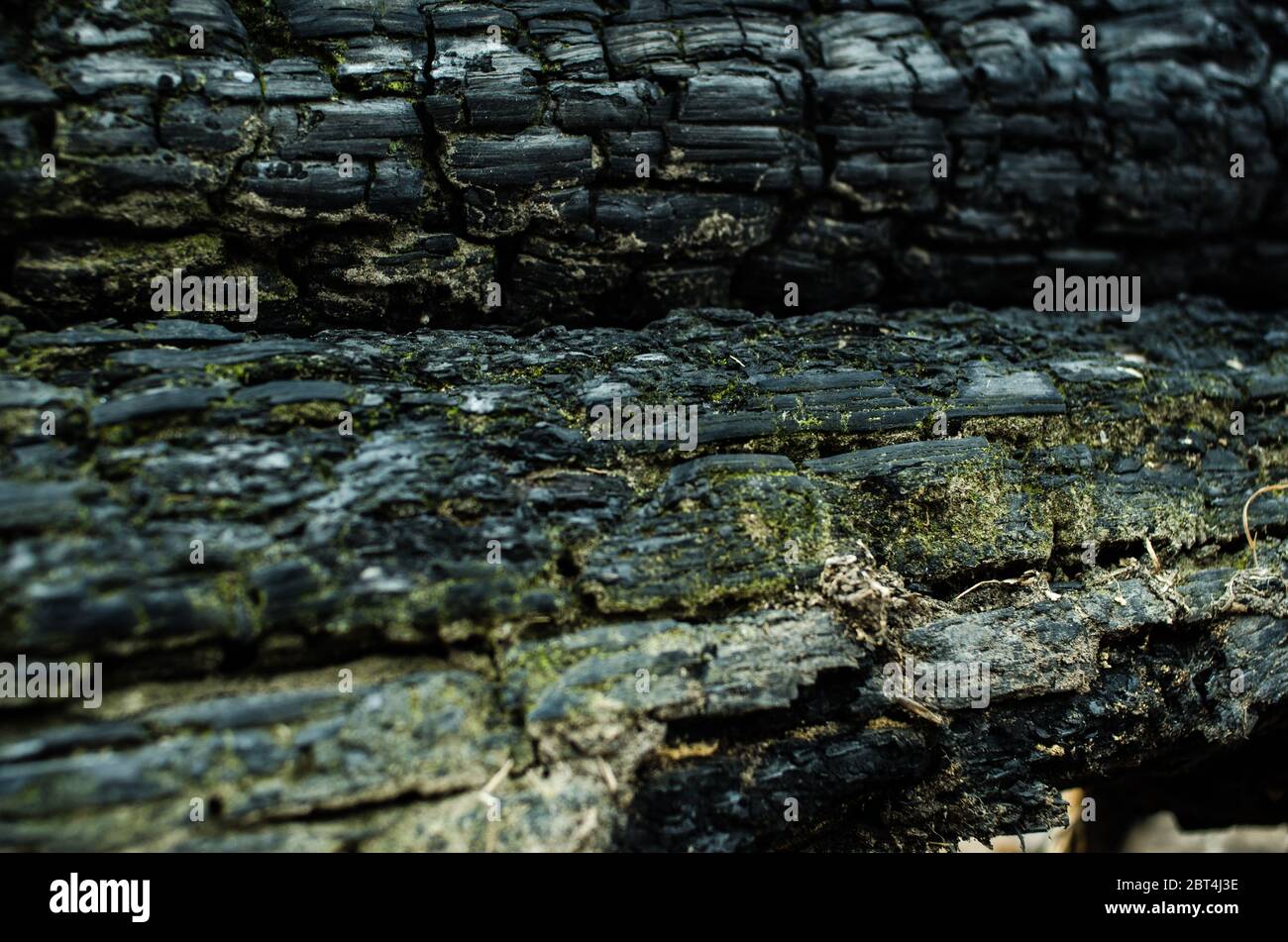 Grunge. Burned wood texture. Black background Stock Photo