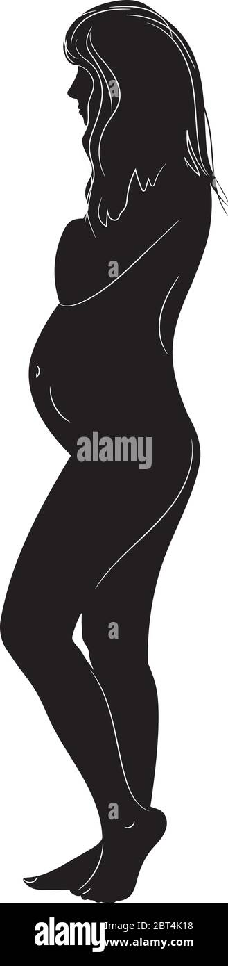 woman pregnancy, body silhouette, illustration, vector Stock Vector