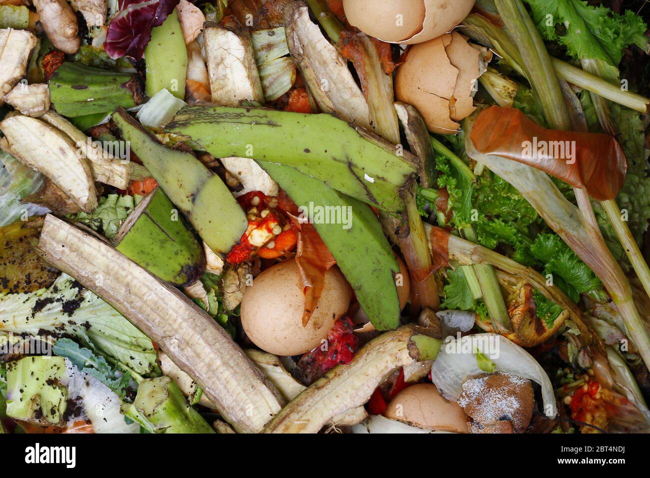 Pile of Food Scraps for Composting Stock Photo Alamy