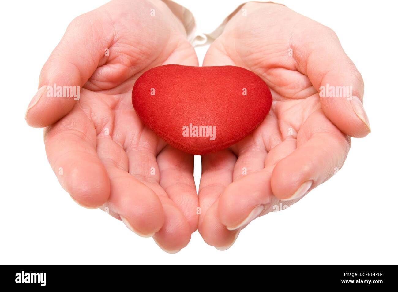 hand, romantic, hold, love, in love, fell in love, valentine, assistance, help, Stock Photo