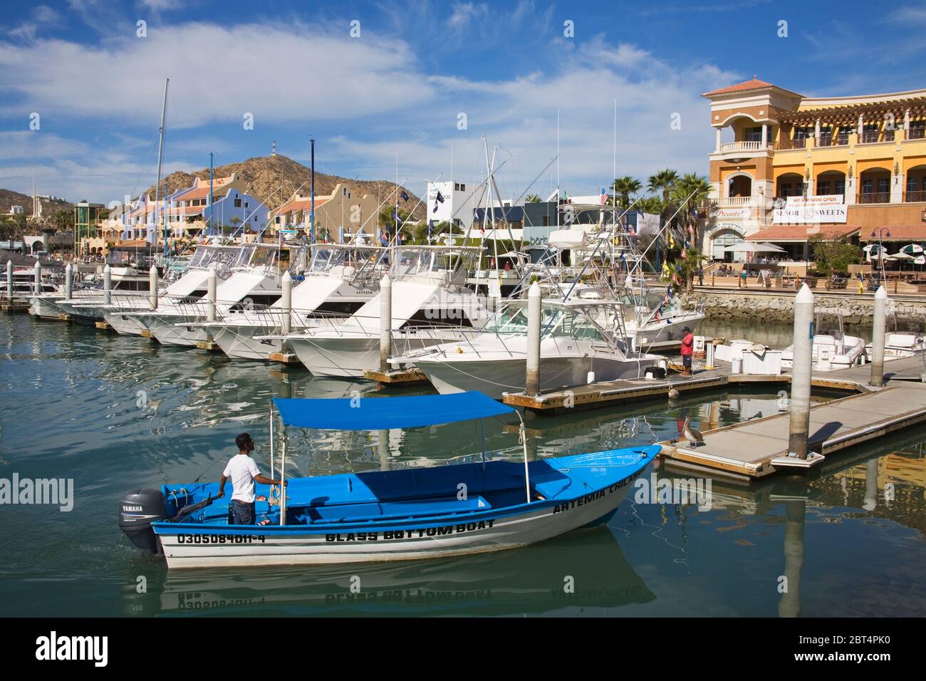 Marina, Cabo San Lucas, Baja California, Mexico Stock Photo - Alamy