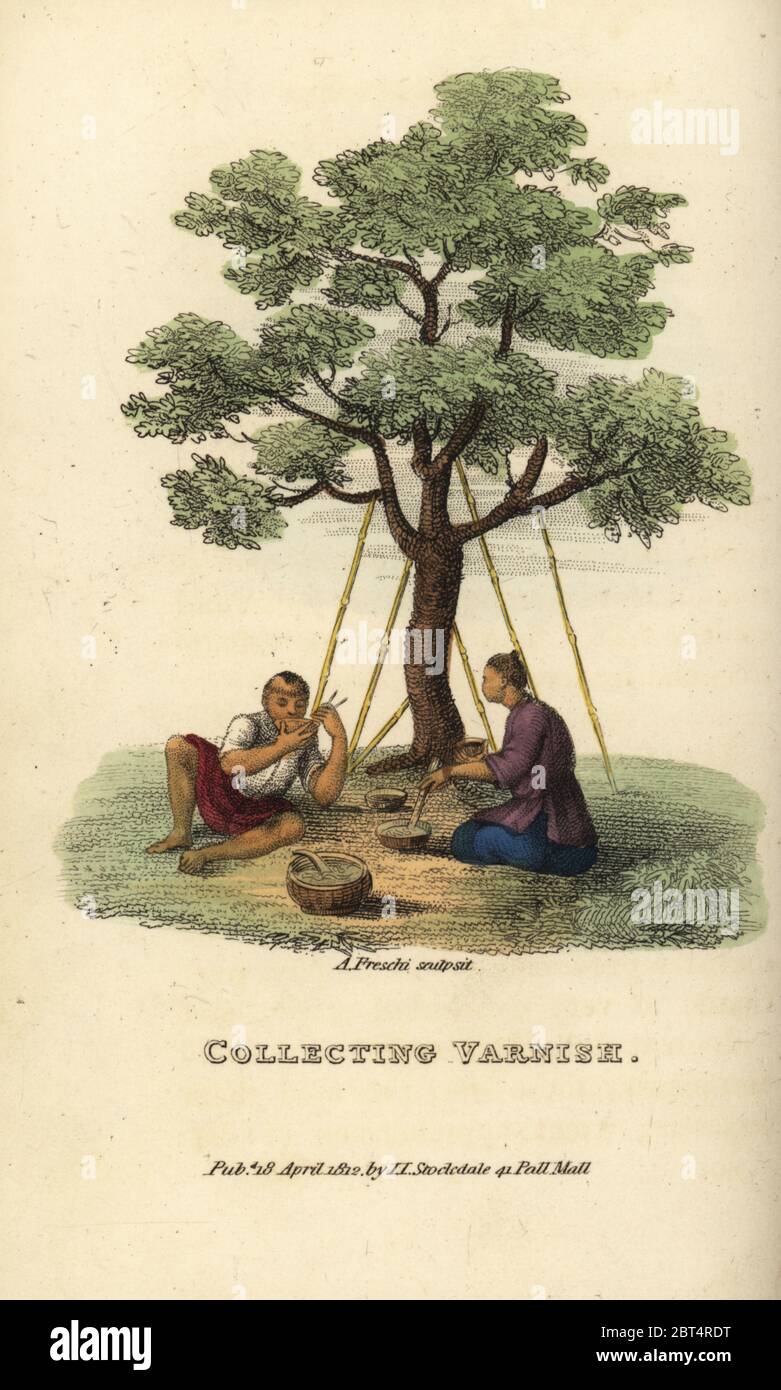 Chinese men collecting varnish from the Chinese lacquer tree, Toxicodendron vernicifluum, using bamboo pipes. One man stirs collected varnish in a pan while another eats from a bowl with chopsticks. Handcoloured copperplate engraving by Andrea Freschi after Antoine Cardon from Henri-Leonard-Jean-Baptiste Bertin and Jean Baptiste Joseph Breton's China, Its Costumes, Arts, Manufactures, etc., Howlett and Brimmer, London, 1824. Stock Photo