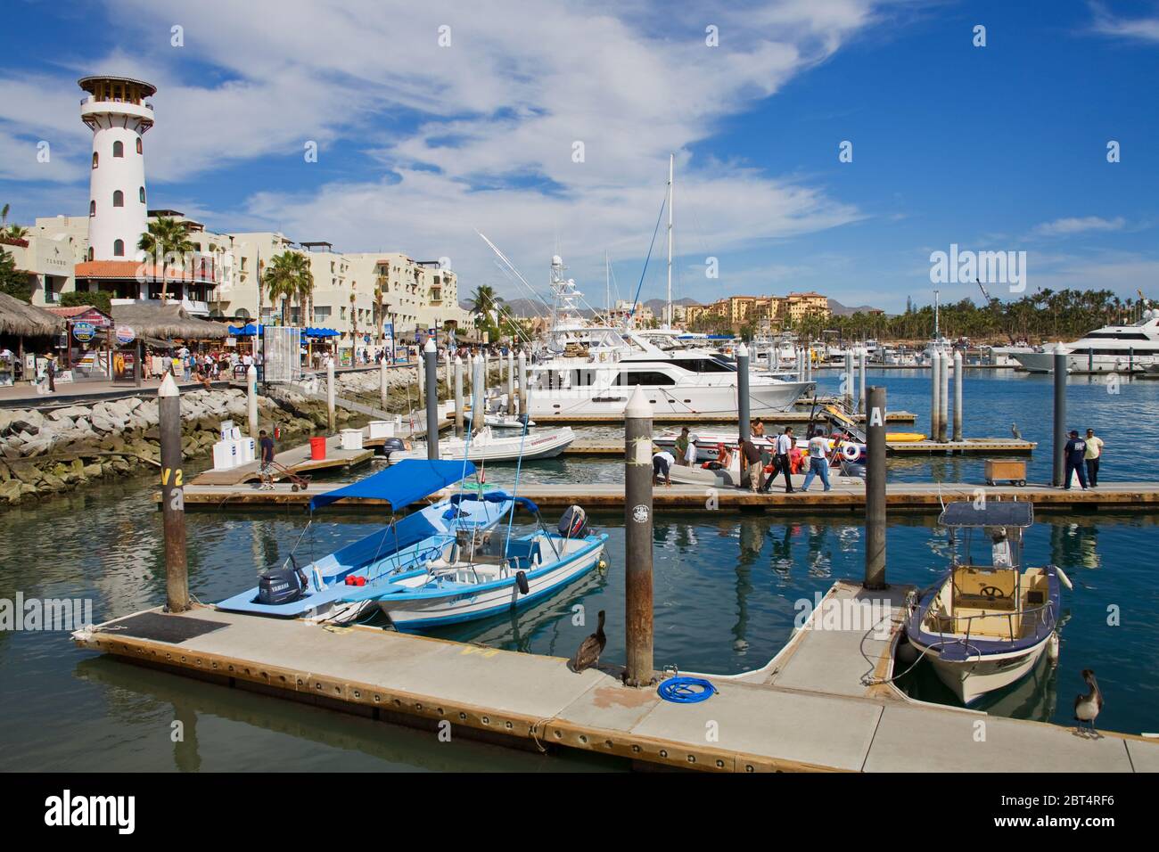 Marina, Cabo San Lucas, Baja California, Mexico Stock Photo - Alamy