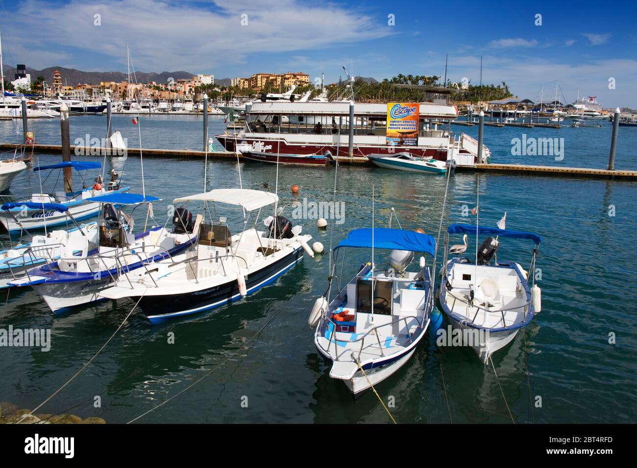 Marina, Cabo San Lucas, Baja California, Mexico Stock Photo - Alamy