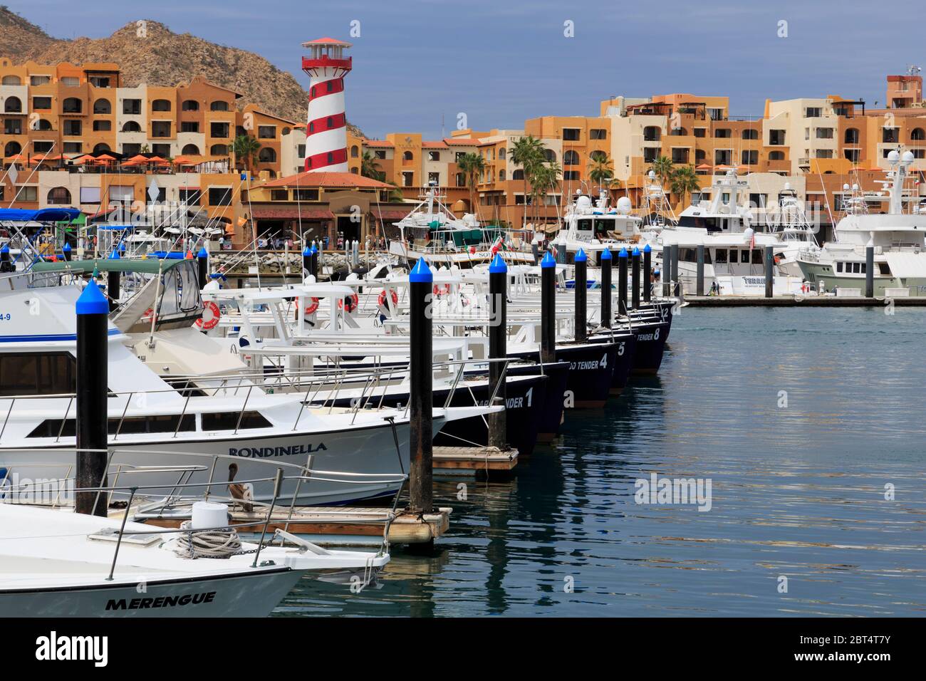 Marina, Cabo San Lucas, Baja California Sur, Mexico Stock Photo - Alamy