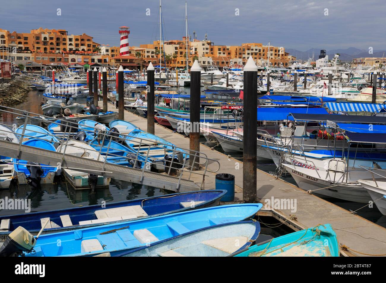 Marina, Cabo San Lucas, Baja California Sur, Mexico Stock Photo - Alamy
