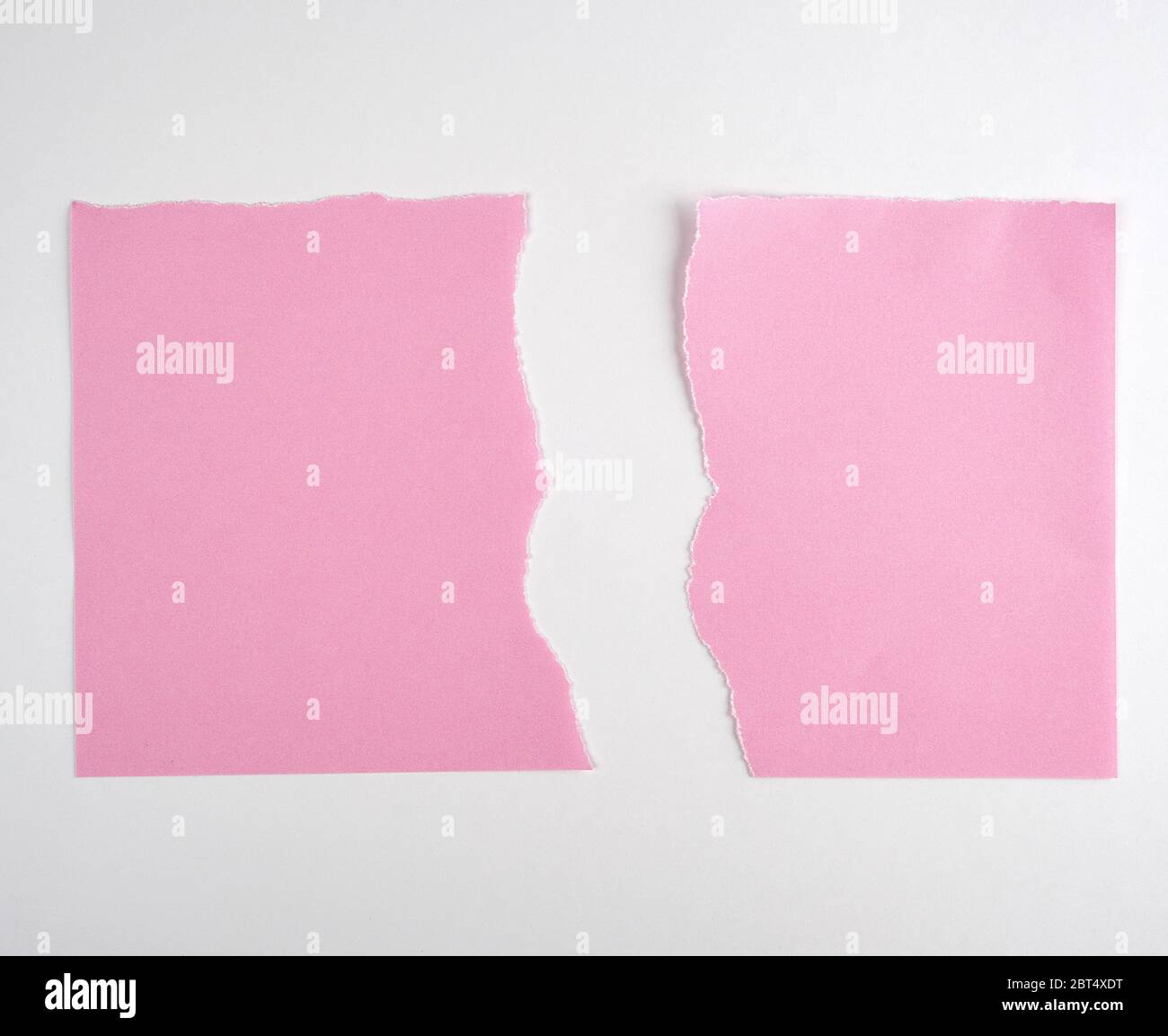 torn in half empty pink sheet of paper on white background, close up Stock Photo