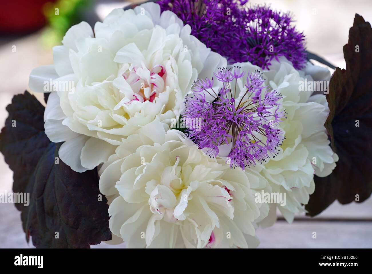 Fragrant White Bouquet with Peonies Bouquet Fragrant White Bouquet with Peonies Bouquet