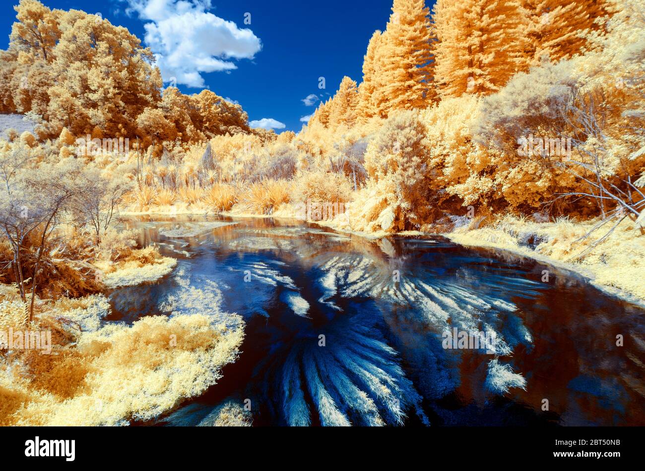 Infrared image of blue river with lined with golden foliage under a blue sky with clouds Stock Photo